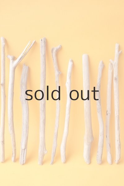 画像3: 小枝流木セット (3)