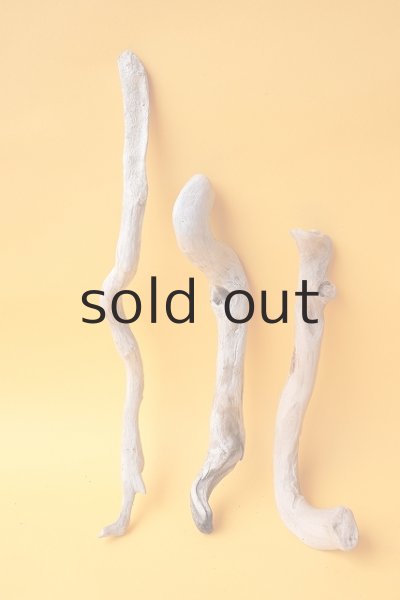 画像2: 流木根セット (2)