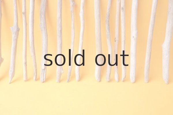 画像5: 小枝流木セット (5)