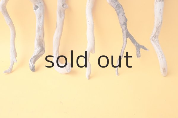 画像5: 流木根セット (5)