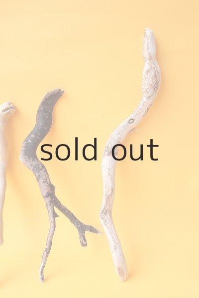 画像4: 流木根セット (4)