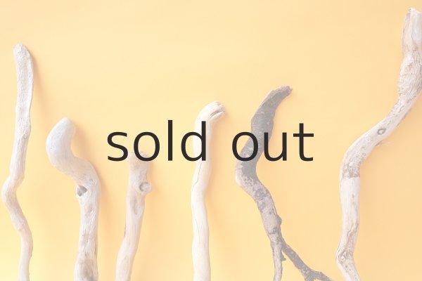 画像6: 流木根セット (6)