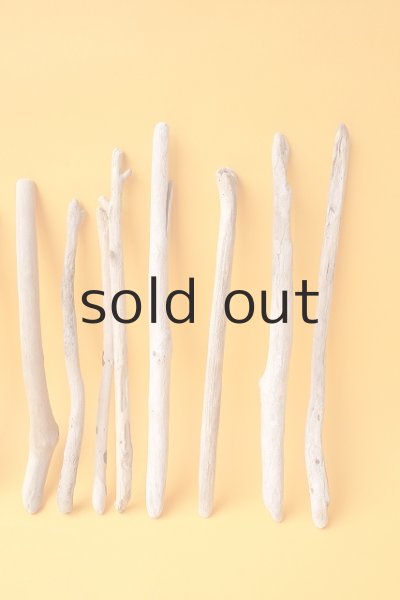 画像4: 小枝流木セット (4)