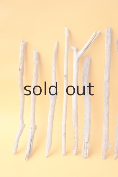 画像2: 小枝流木セット (2)