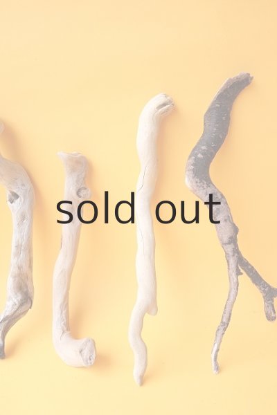 画像3: 流木根セット (3)