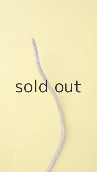 画像5: 枝流木 (5)