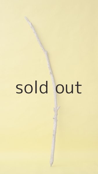 画像1: 枝流木 (1)