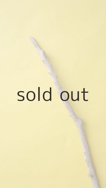 画像4: 枝流木 (4)