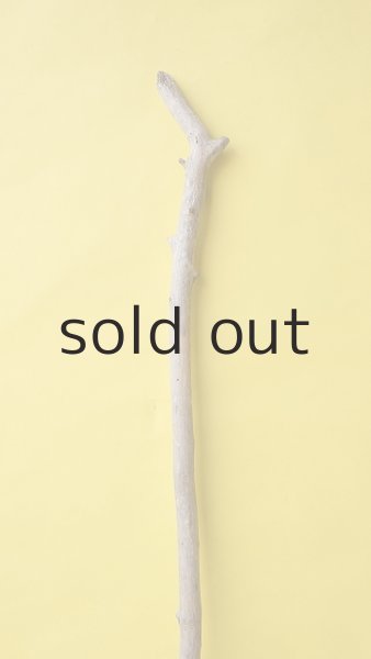 画像4: 枝流木 (4)