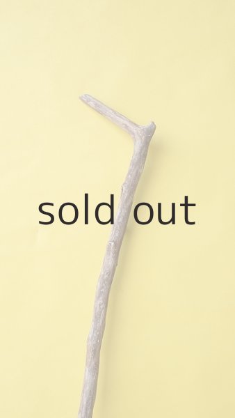 画像3: 枝流木 (3)