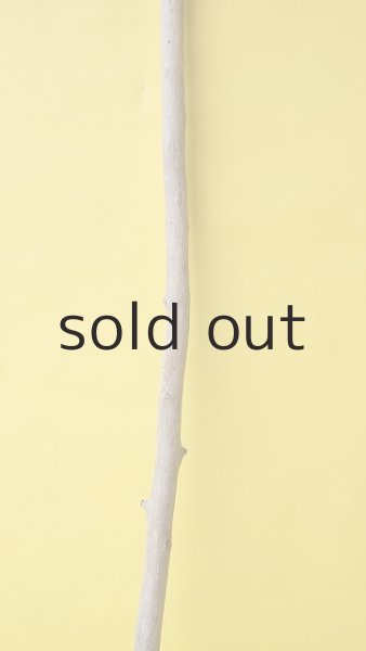 画像3: 枝流木 (3)