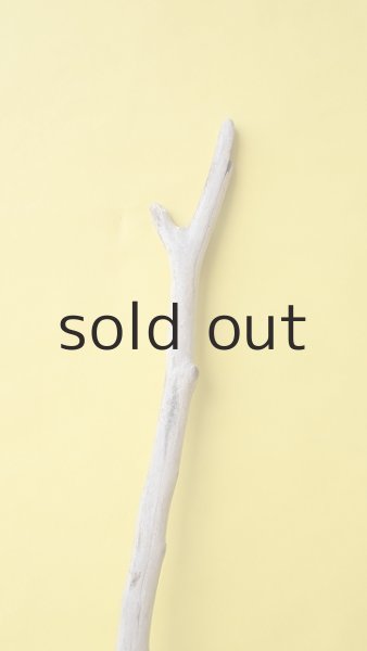 画像3: 枝流木 (3)