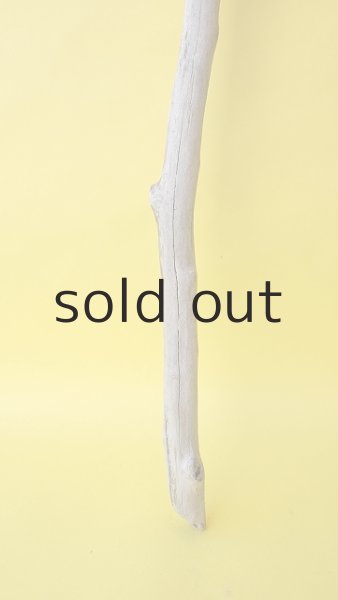 画像2: 枝流木 (2)