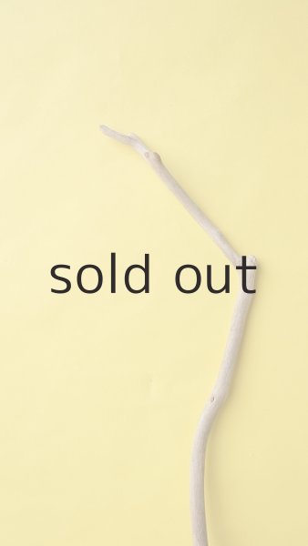 画像4: 枝流木 (4)