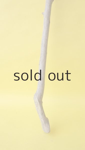 画像2: 枝流木 (2)