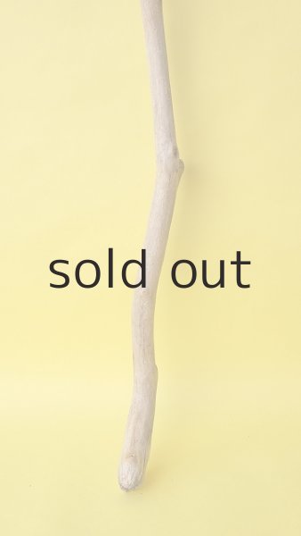 画像2: 枝流木 (2)