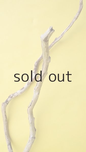 画像3: 枝流木 (3)