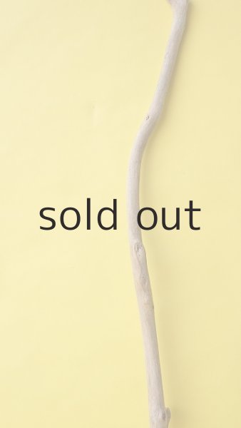 画像3: 枝流木 (3)