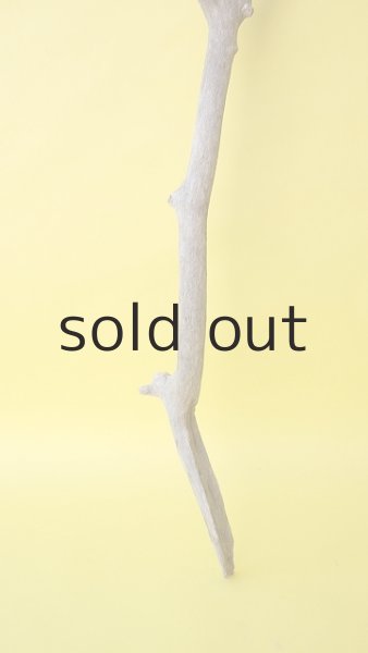 画像2: 枝流木 (2)