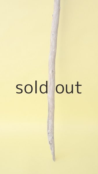 画像2: 枝流木 (2)