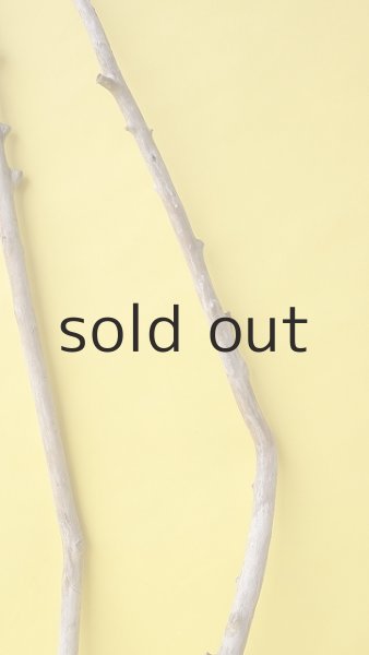 画像3: 枝流木セット (3)