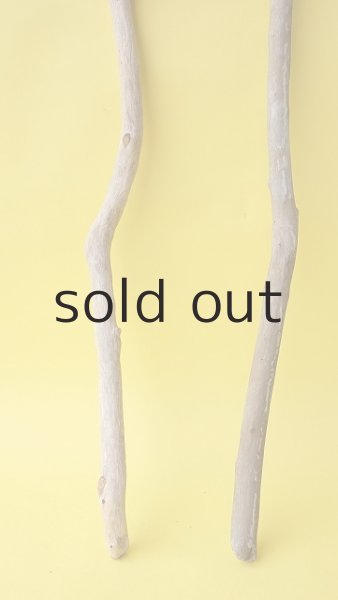 画像2: 枝流木セット (2)