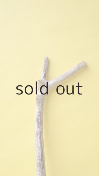 画像4: 枝流木 (4)