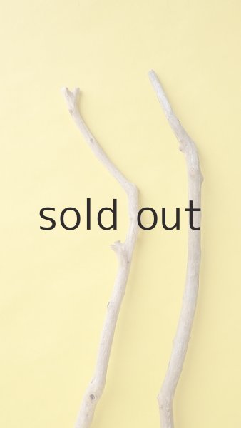 画像4: 枝流木セット (4)