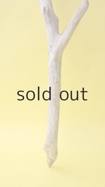 画像2: 枝流木 (2)