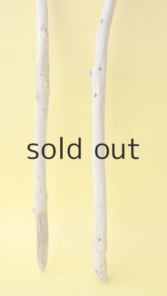 画像2: 枝流木セット (2)