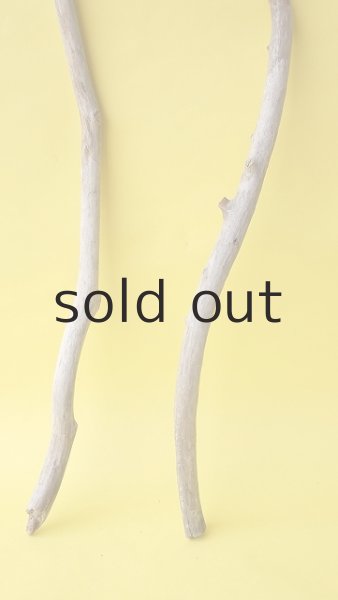 画像2: 枝流木セット (2)