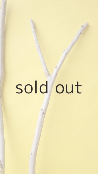 画像3: 枝流木セット (3)