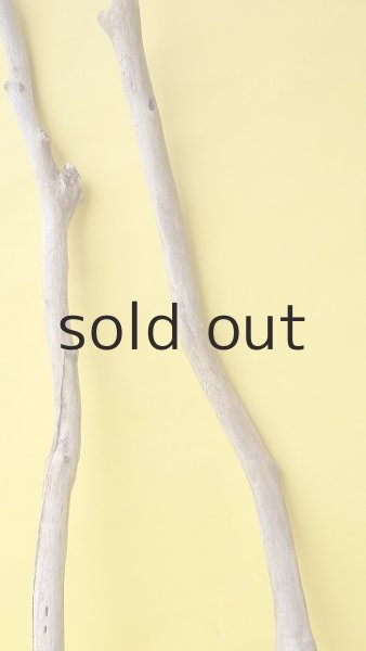 画像4: 枝流木セット (4)