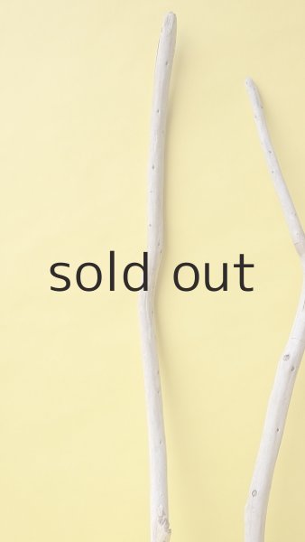 画像4: 枝流木セット (4)