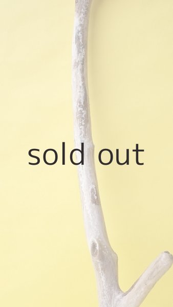 画像3: 枝流木 (3)