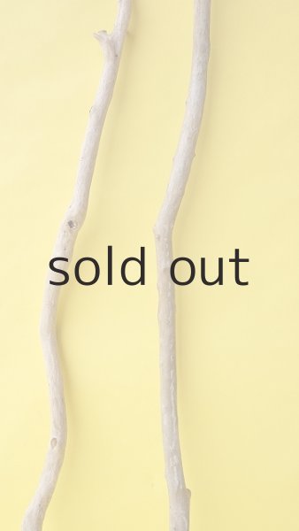 画像3: 枝流木セット (3)