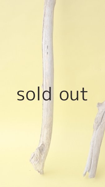 画像2: 枝流木セット (2)