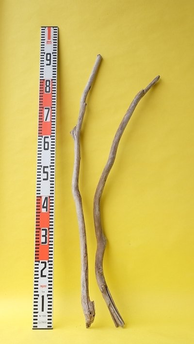 画像3: 枝流木セット