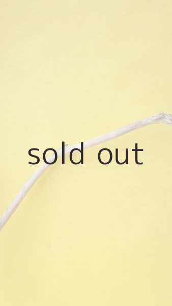 画像4: 枝流木 (4)