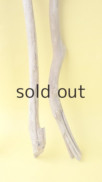 画像6: 枝流木セット (6)