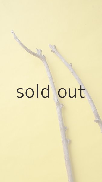 画像4: 枝流木セット (4)