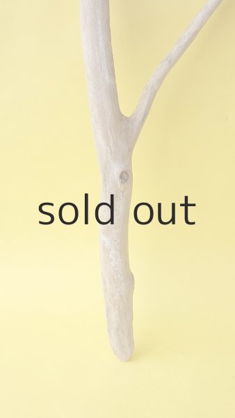 画像2: 枝流木 (2)