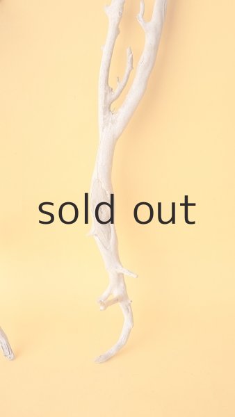 画像5: 流木根セット (5)