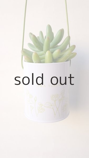 画像2: プラントハンガー・オリジナルスチール丸缶（穴開きタイプ）＋多肉植物・乙女心 (2)