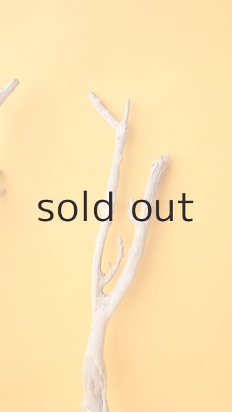 画像4: 流木根セット (4)