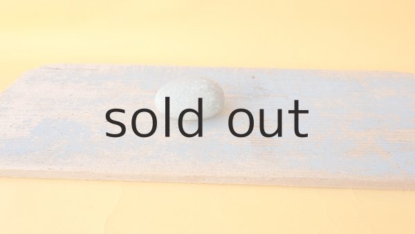 画像5: 板流木 (5)