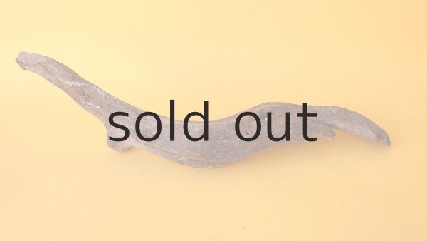 画像4: 変形流木 (4)