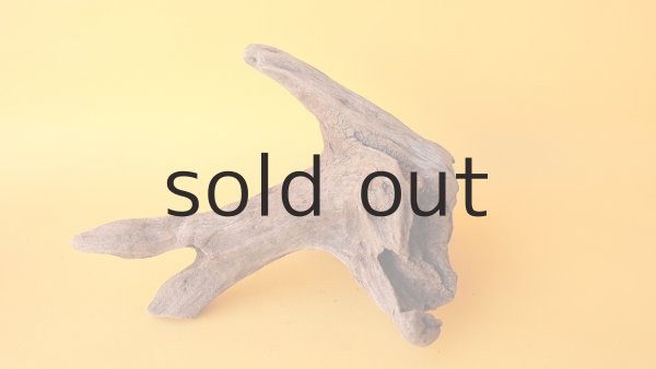 画像3: 変形流木 (3)