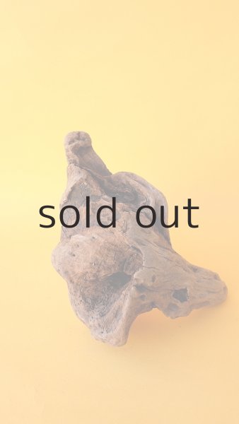 画像5: 変形流木 (5)