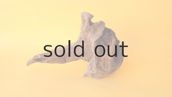 画像4: 変形流木 (4)